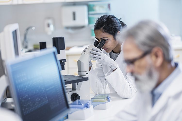 Scientists Working in The Laboratory