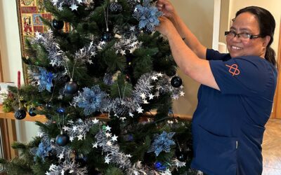 The Rānui housekeeper that lights up Christmas